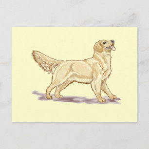 Golden Retrievers Briefkaart