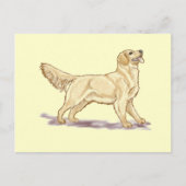 Golden Retrievers Briefkaart (Voorkant)