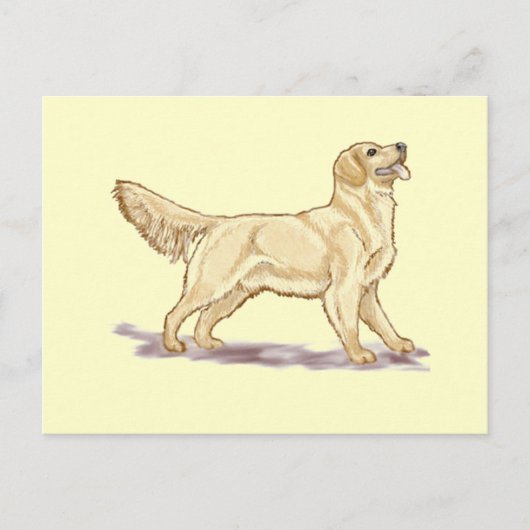 Golden Retrievers Briefkaart (Voorkant)