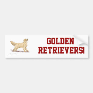 Golden Retrievers. Bumpersticker