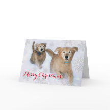 Golden Retrievers die door de sneeuwkerst springen