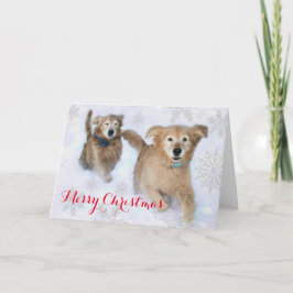 Golden Retrievers die door de sneeuwkerst springen Feestdagen Kaart