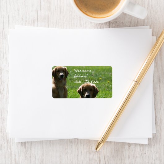 Golden Retrievers Etiket (Insitu)