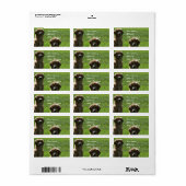 Golden Retrievers Etiket (Full Sheet)