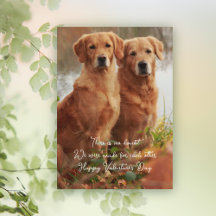 Golden Retrievers Gemaakt voor Elkaar Kaarten