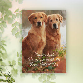 Golden Retrievers Gemaakt voor Elkaar Kaarten