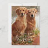 Golden Retrievers gemaakt voor elkaars Kaarten (Voorkant)