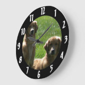 Golden Retrievers Grote Klok (Hoek)