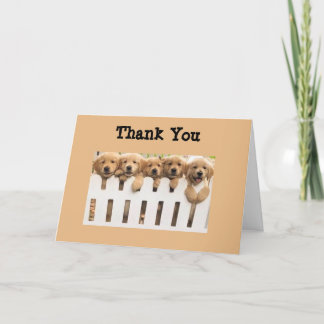 Golden Retrievers Hartelijk dank Bedankkaart
