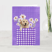 Golden Retrievers in Gingham Pocket Card Kaart (Voorkant)