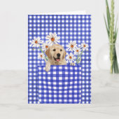 Golden Retrievers in Gingham Pocket Kaart (Voorkant)