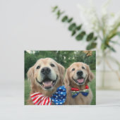 Golden Retrievers in Onafhankelijkheidsdag Bow Str Briefkaart (Staand voorkant)