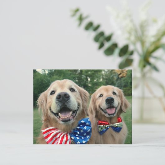 Golden Retrievers in Onafhankelijkheidsdag Bow Str Briefkaart (Staand voorkant)