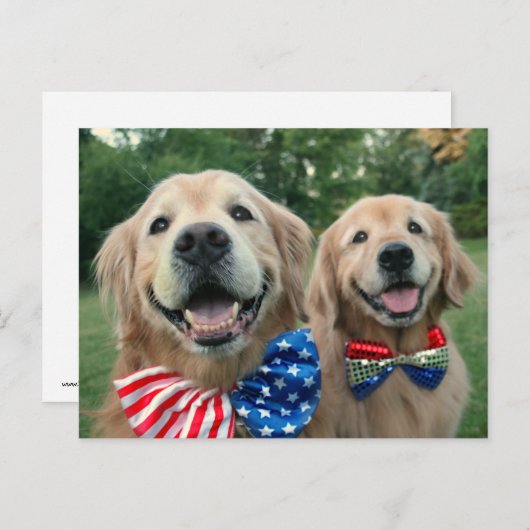 Golden Retrievers in Onafhankelijkheidsdag Bow Str Briefkaart (Voorkant / Achterkant)