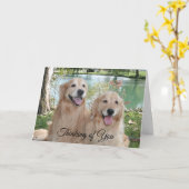 Golden Retrievers in The Park Thinking of You Kaart (Gele Bloem)