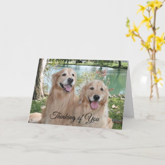 Golden Retrievers in The Park Thinking of You Kaart (Gele Bloem)