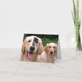 Golden Retrievers Peter Fox en Moeder Dankkaart Bedankkaart