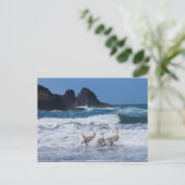 Golden Retrievers Post Kaart (Staand voorkant)
