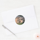 Golden Retriver Rust in het gras Foto Ronde Sticker (Envelop)