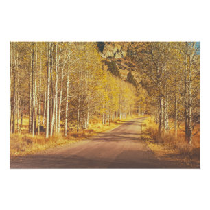 Golden Road Perfect Poster