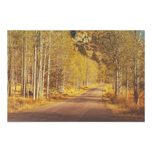 Golden Road Perfect Poster (Voorkant)