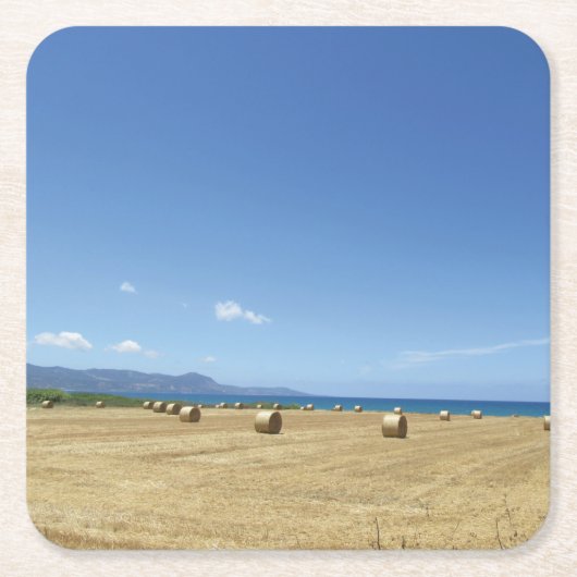 Golden Rolls van Hay en Deep Blue Zee Design Kartonnen Onderzetters (Voorkant)