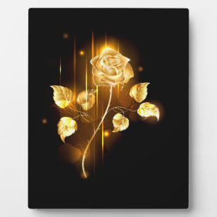 Golden roos (gouden roos) fotoplaat