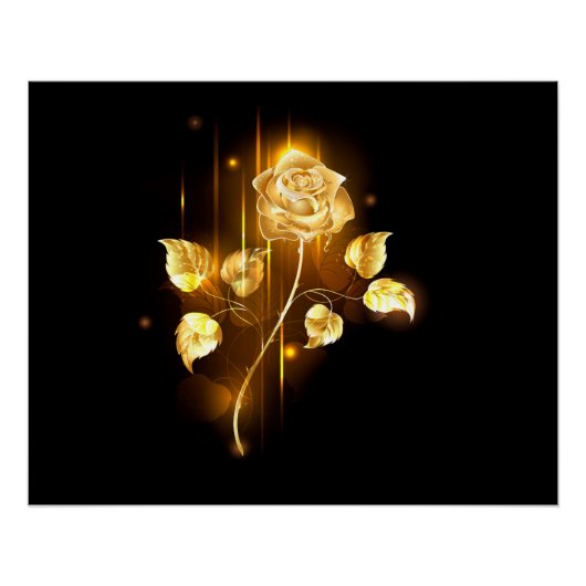 Golden roos (gouden roos) perfect poster (Voorkant)
