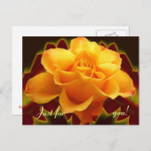 Golden roos op gestileerd blad briefkaart (Voorkant / Achterkant)