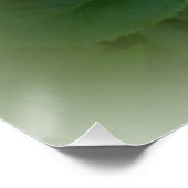 Golden roos poster (Hoek)