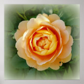 Golden roos poster (Voorkant)