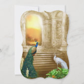 Golden Royal Peacock Temple Dreams Kaart (Achterkant)