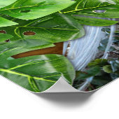 Golden Royal Peacock Temple Dreams Poster (Hoek)