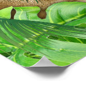 Golden Royal Peacock Temple Dreams Poster (Hoek)