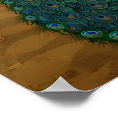 Golden Royal Peacock Temple Dreams Poster (Hoek)