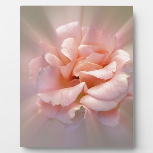 Golden roze fotoplaat (Voorkant)
