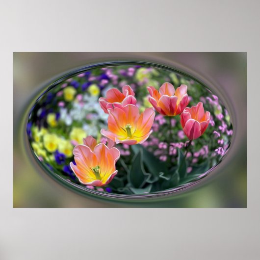 Golden roze tulpen poster (Voorkant)