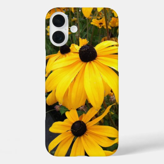 Golden Rudbeckia Black Eyed Susan Flowers Case-Mate iPhone Case (Achterkant)