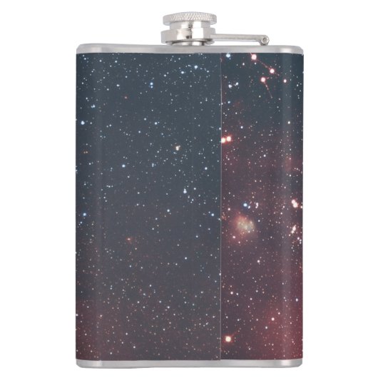 Golden Scorpio Flask Heupfles (Achterkant)