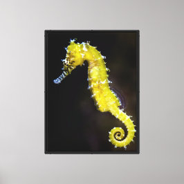 Golden Seahorse Vibrant Marine Life Canvas Afdruk