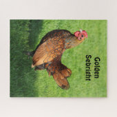 Golden Sebright Hen - Bantam Pet Chicken Legpuzzel (Horizontaal)
