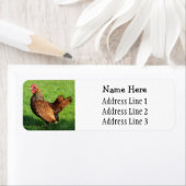 Golden Sebright Rooster Pet Chicken Retouradres Etiket (Insitu)
