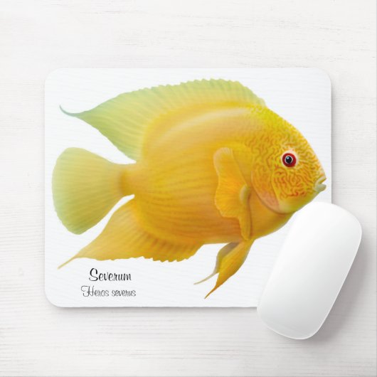 Golden Severum Cichlid Mousepad Muismat (Met muis)