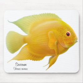 Golden Severum Cichlid Mousepad Muismat