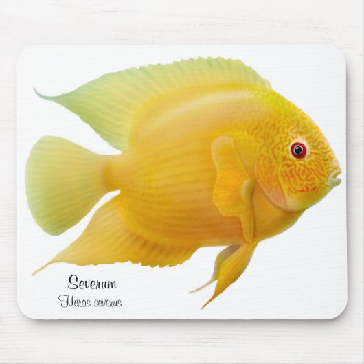 Golden Severum Cichlid Mousepad Muismat (Voorkant)