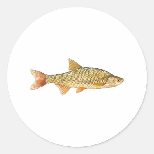 Golden Shiner Logo Ronde Sticker (Voorkant)