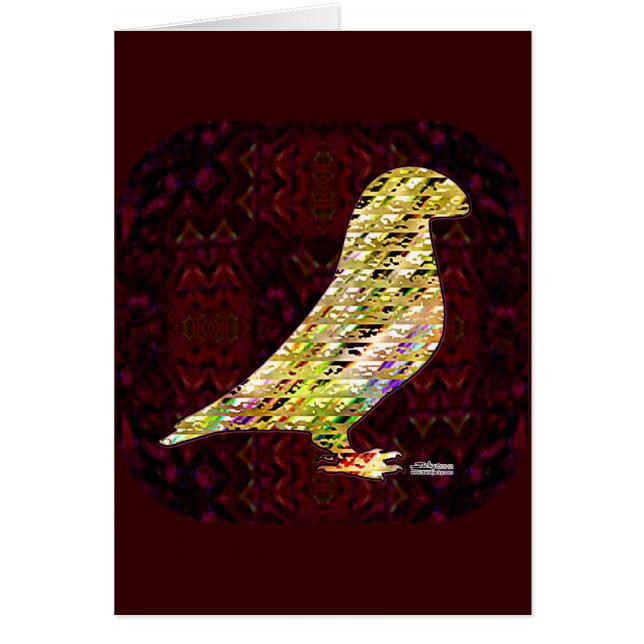 Golden Show Racer Pigeon (Voorkant)