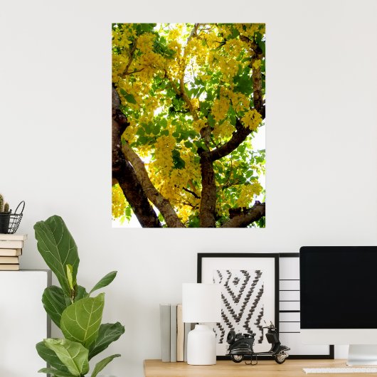 Golden Shower Tree Poster (Thuiskantoor)