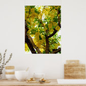 Golden Shower Tree Poster (Keuken)