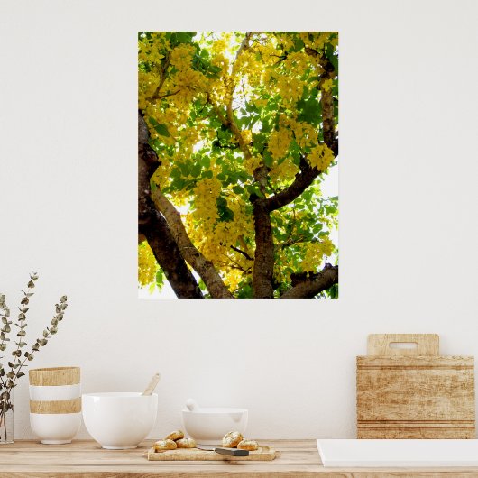 Golden Shower Tree Poster (Keuken)
